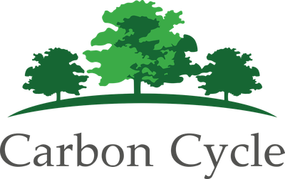 Carbon Cycle